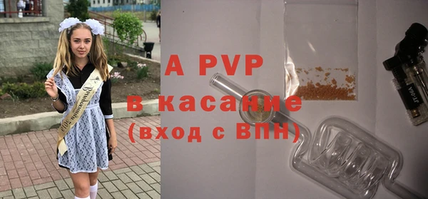 мет Алексин