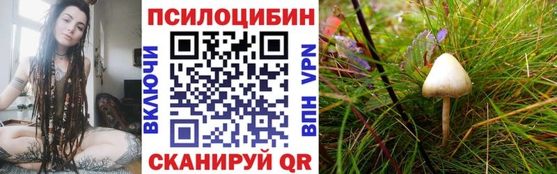 Галлюциногенные грибы Cubensis  даркнет сайт  Магнитогорск 