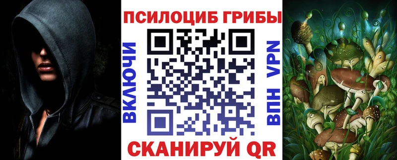 Псилоцибиновые грибы Psilocybe Магнитогорск